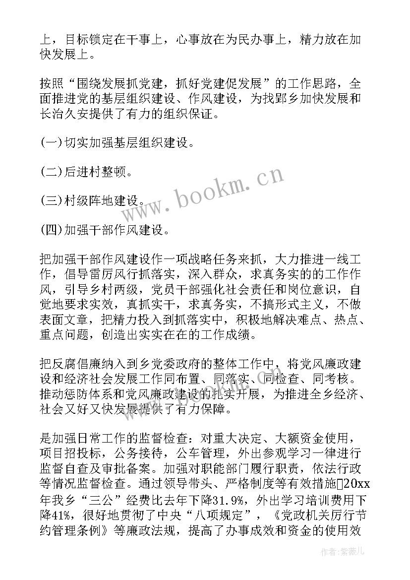 乡镇副乡长述职述廉报告(实用5篇)