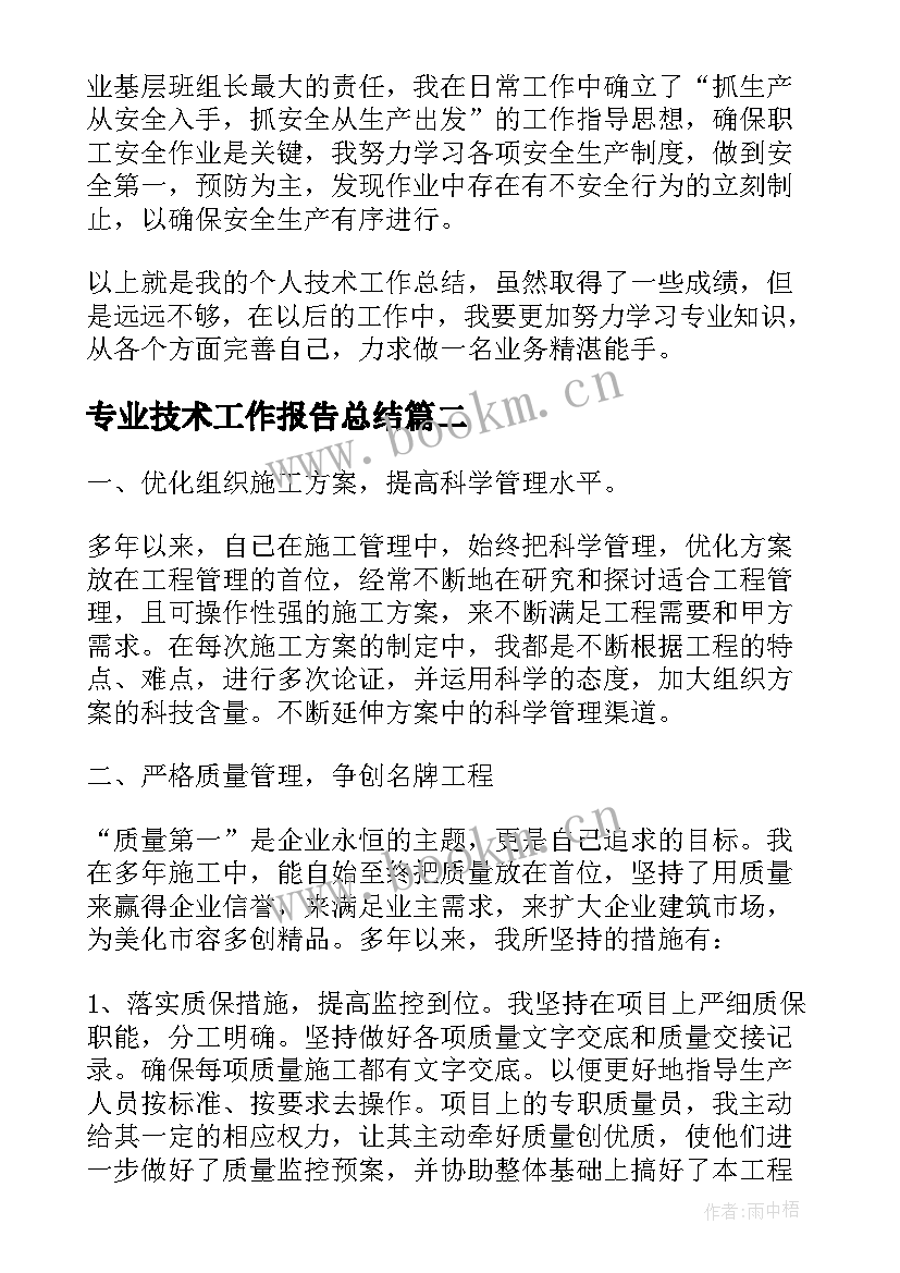 2023年专业技术工作报告总结(通用7篇)