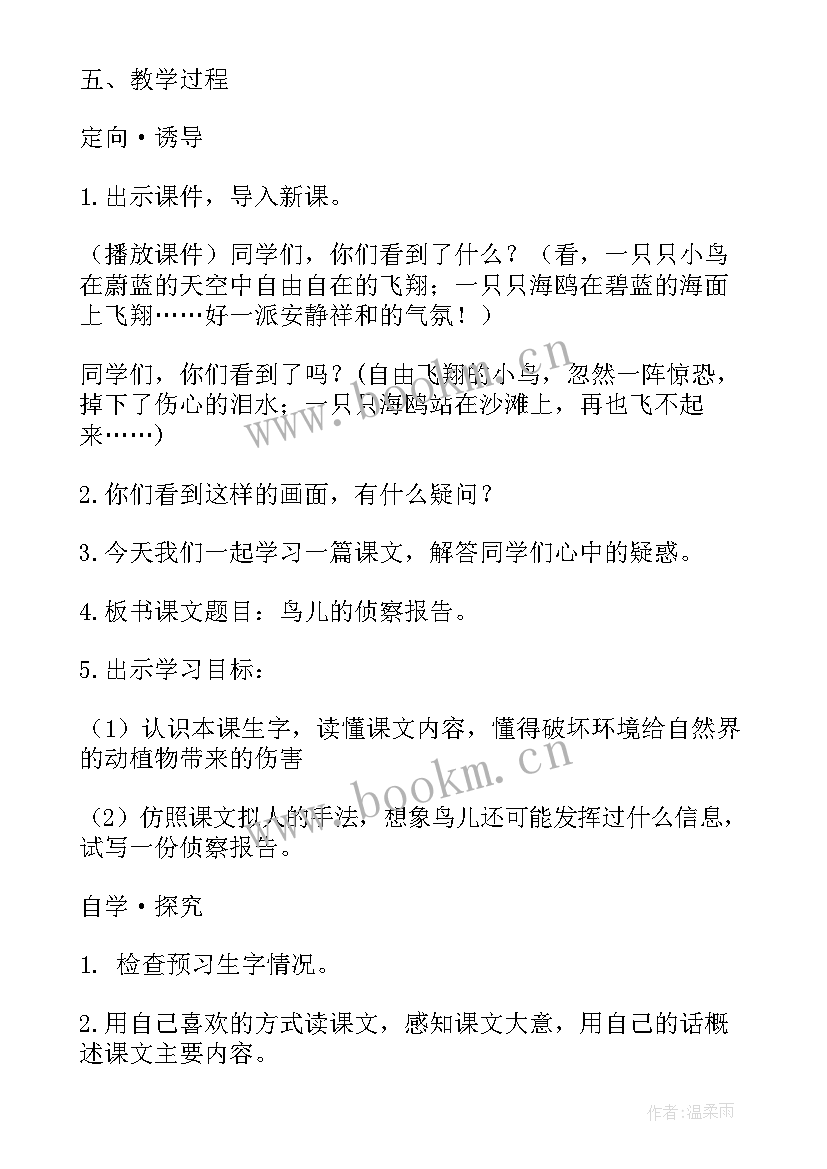 2023年鸟儿的观察报告 鸟儿的侦察报告教学设计(精选6篇)