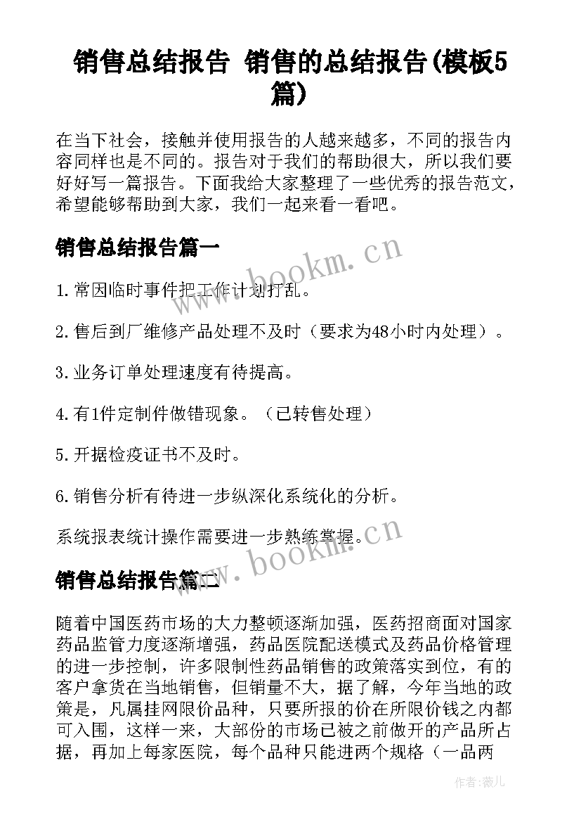 销售总结报告 销售的总结报告(模板5篇)