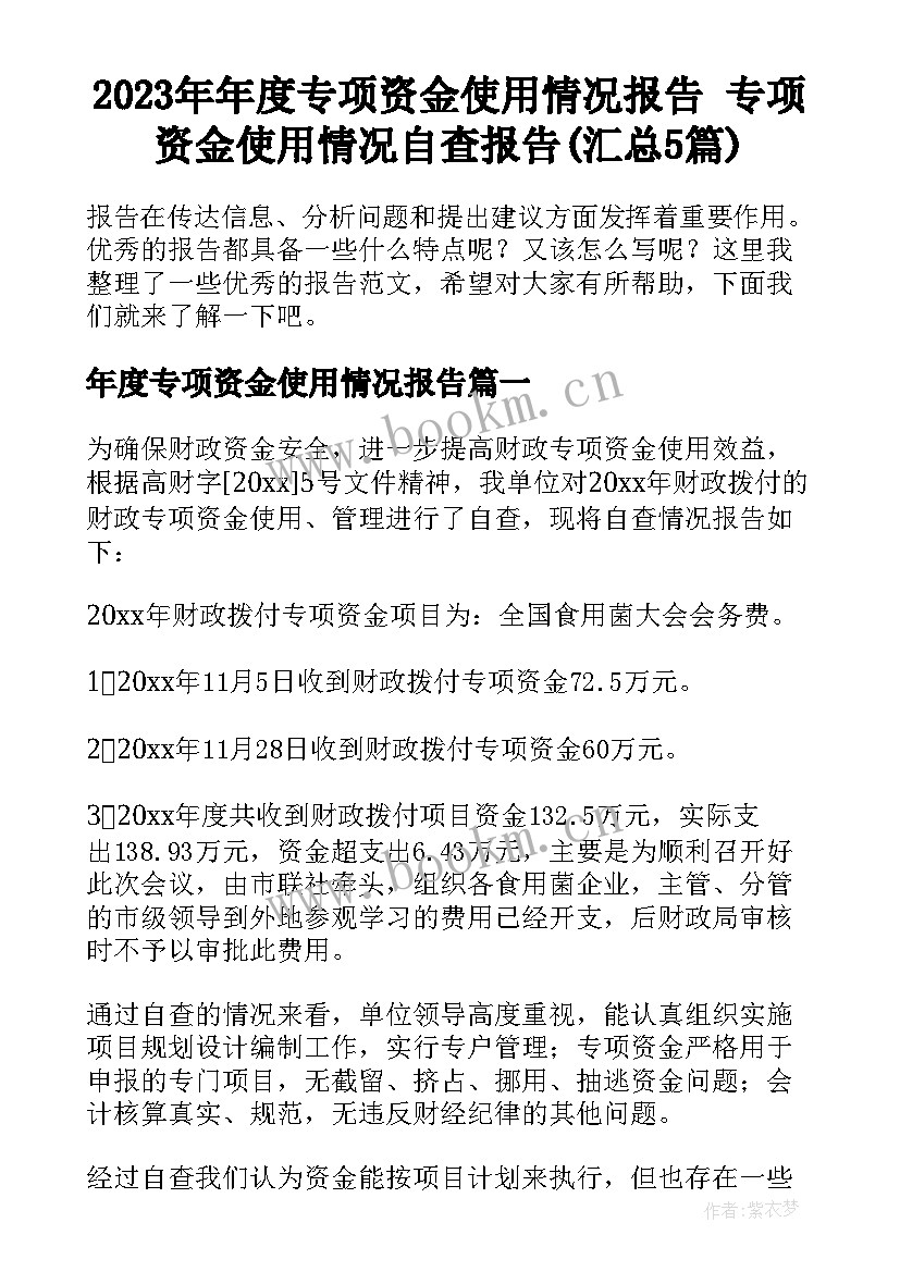 2023年年度专项资金使用情况报告 专项资金使用情况自查报告(汇总5篇)