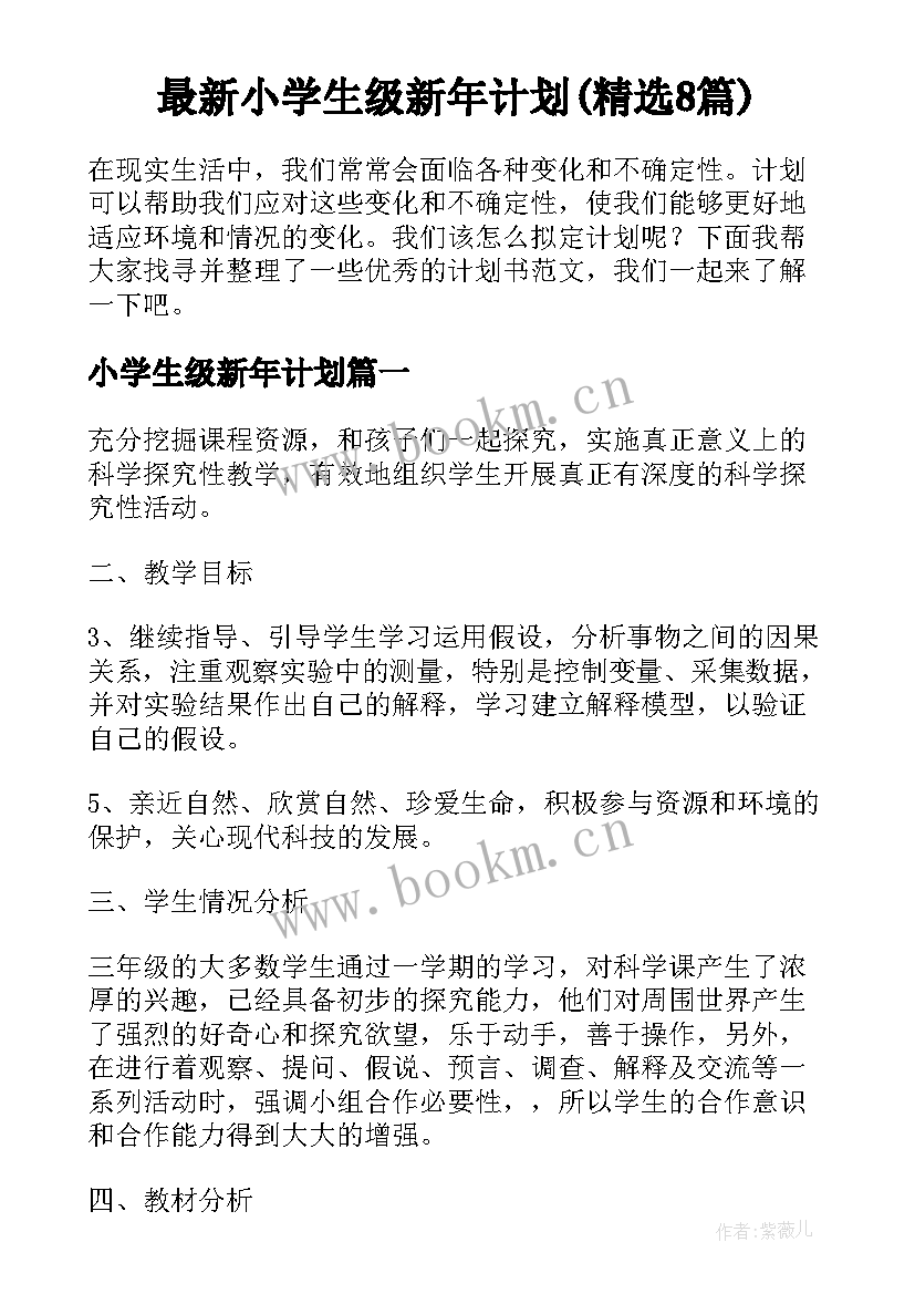 最新小学生级新年计划(精选8篇)