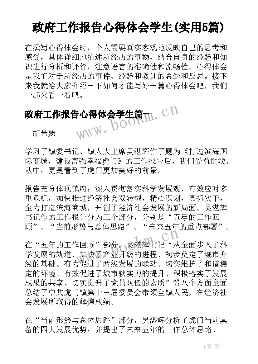 政府工作报告心得体会学生(实用5篇)