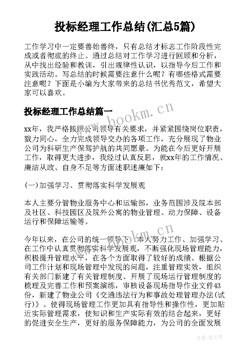 投标经理工作总结(汇总5篇)