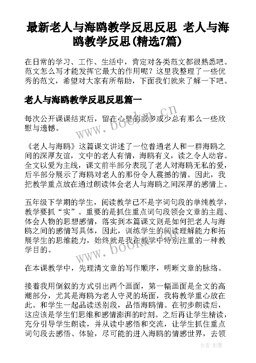 最新老人与海鸥教学反思反思 老人与海鸥教学反思(精选7篇)