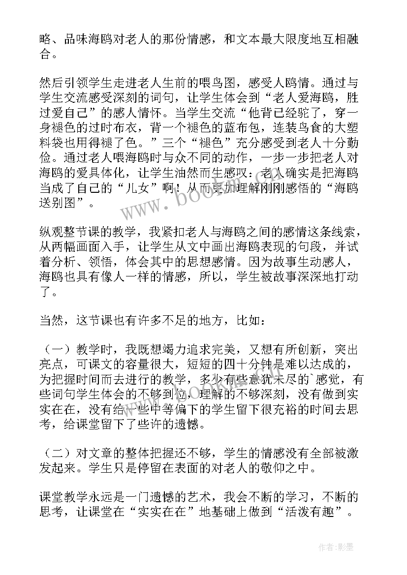 最新老人与海鸥教学反思反思 老人与海鸥教学反思(精选7篇)