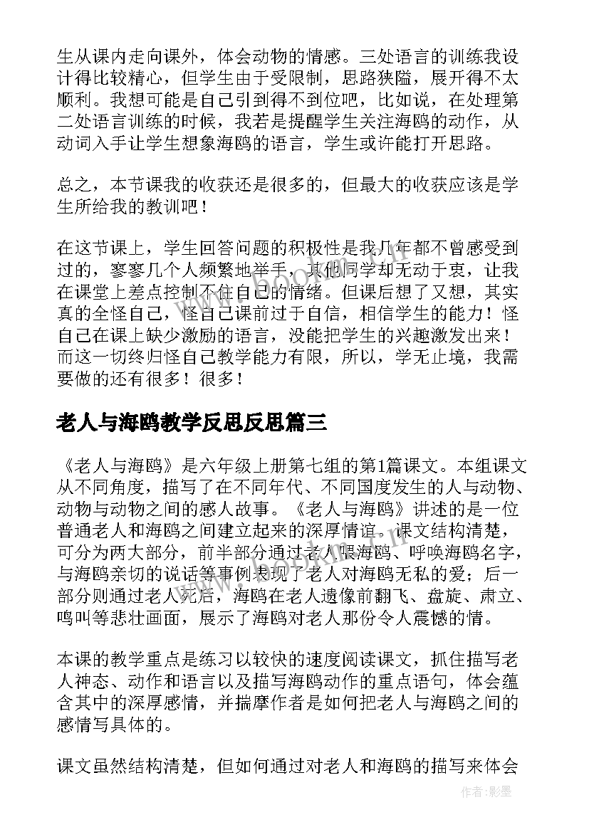 最新老人与海鸥教学反思反思 老人与海鸥教学反思(精选7篇)