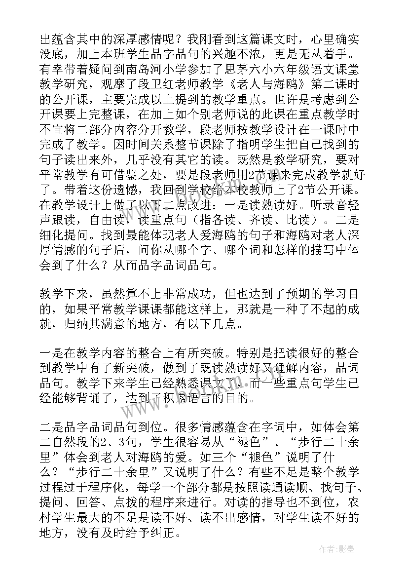 最新老人与海鸥教学反思反思 老人与海鸥教学反思(精选7篇)