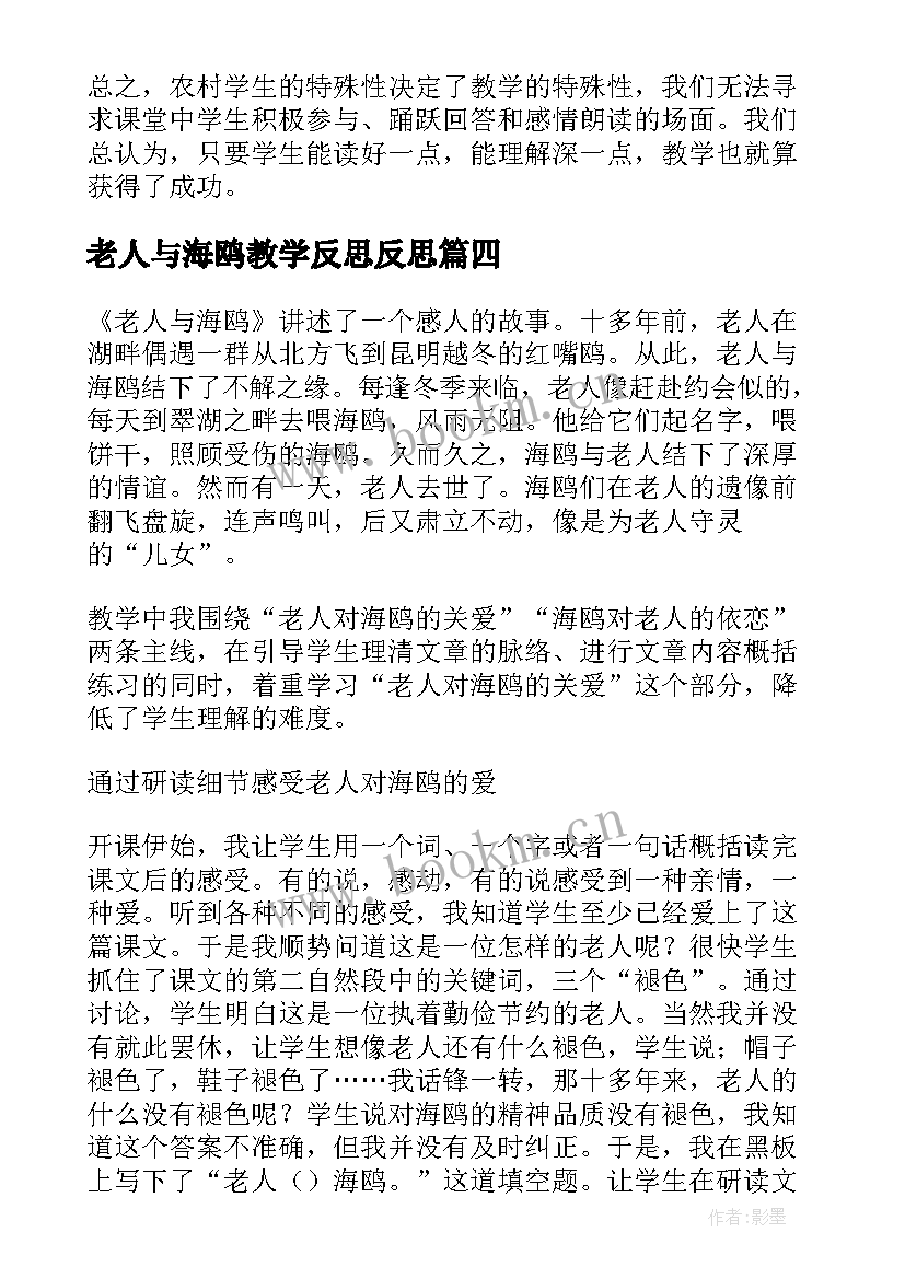 最新老人与海鸥教学反思反思 老人与海鸥教学反思(精选7篇)