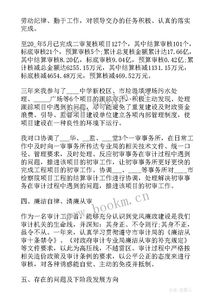 最新审计年度工作总结报告 审计年度工作总结与计划(汇总5篇)