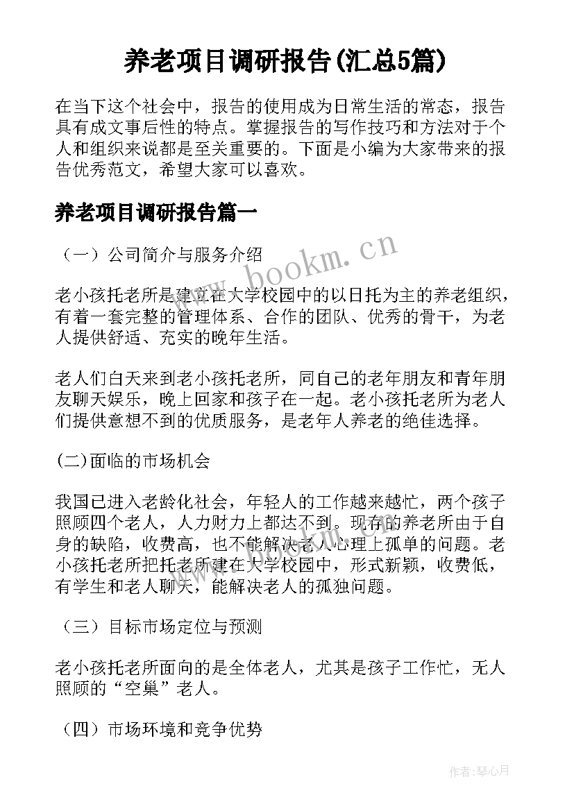 养老项目调研报告(汇总5篇)