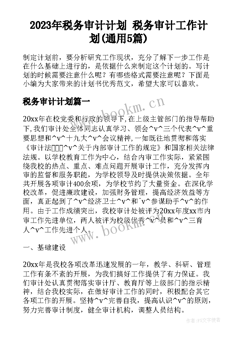 2023年税务审计计划 税务审计工作计划(通用5篇)