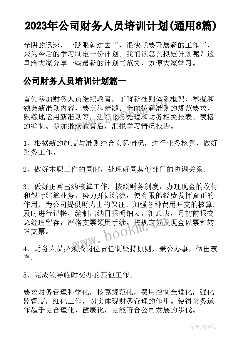 2023年公司财务人员培训计划(通用8篇)