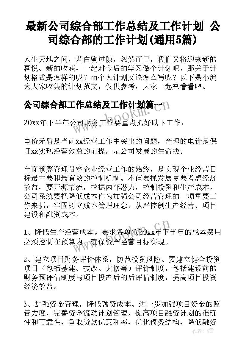 最新公司综合部工作总结及工作计划 公司综合部的工作计划(通用5篇)