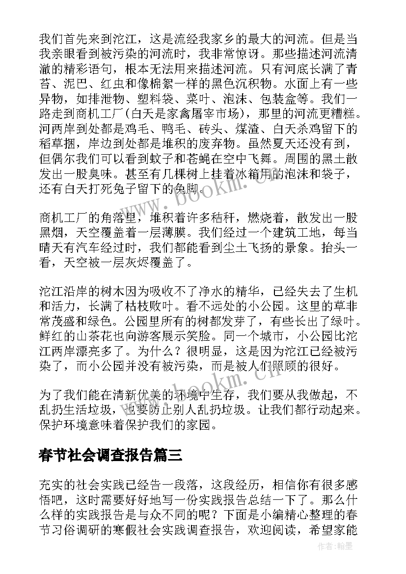 最新春节社会调查报告(汇总5篇)
