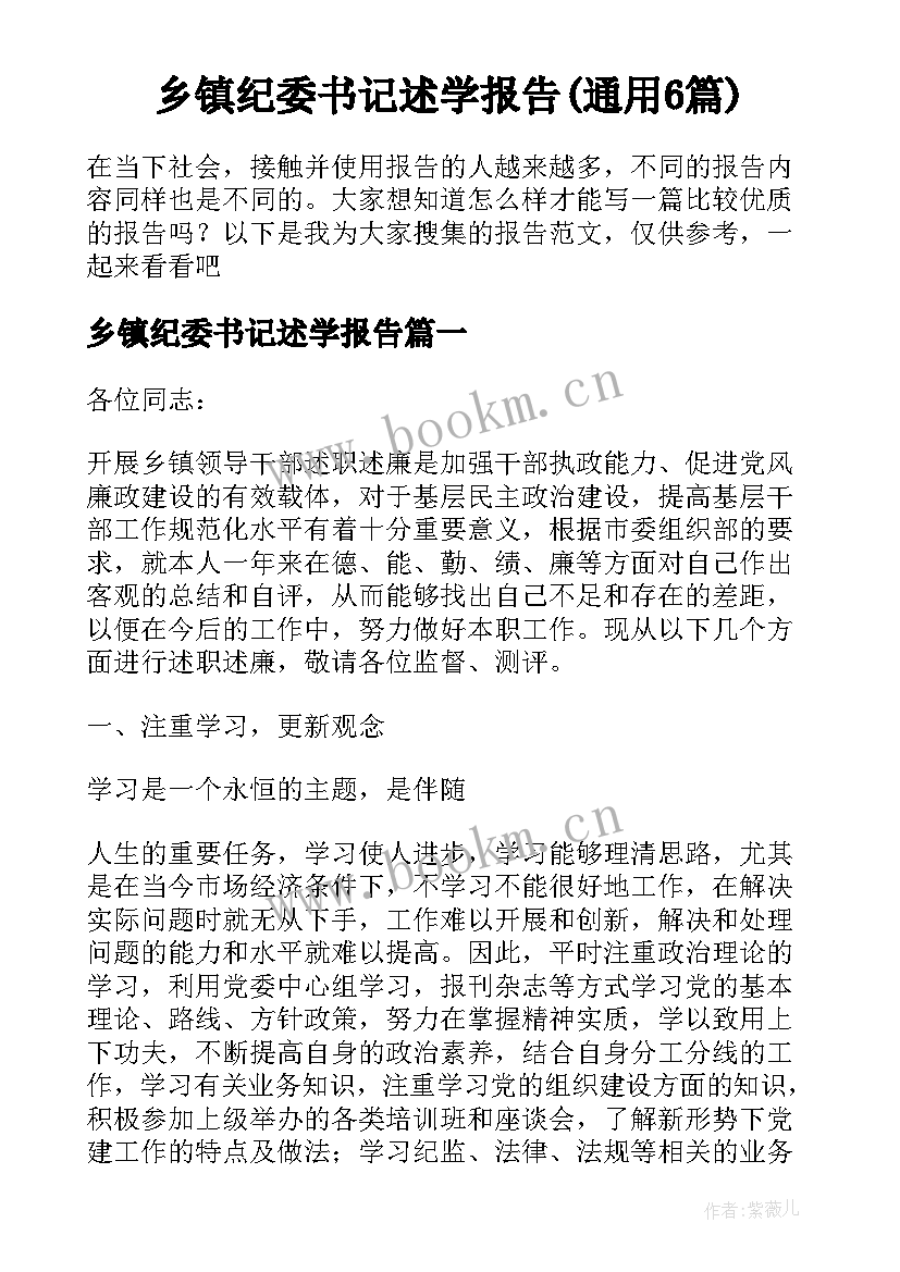 乡镇纪委书记述学报告(通用6篇)