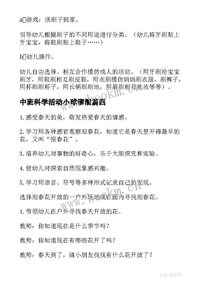 中班科学活动小球溜溜 中班科学活动教案(实用9篇)