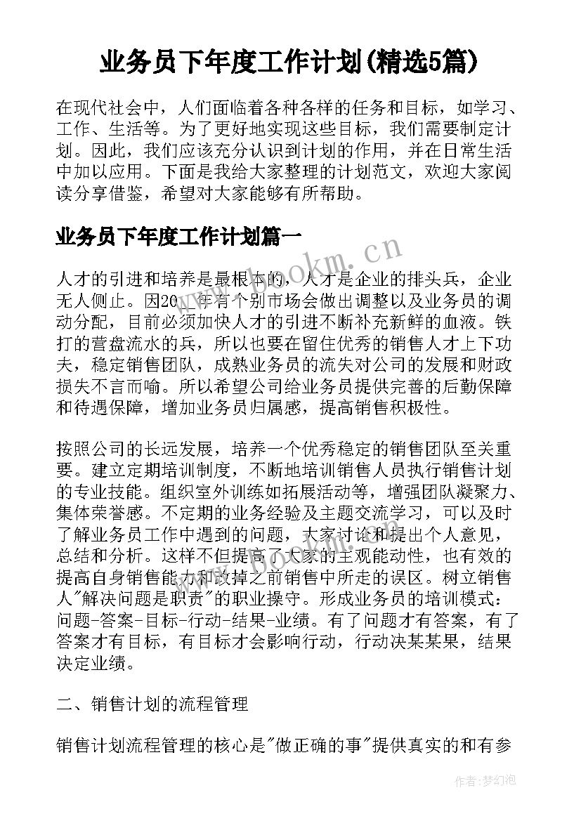 业务员下年度工作计划(精选5篇)