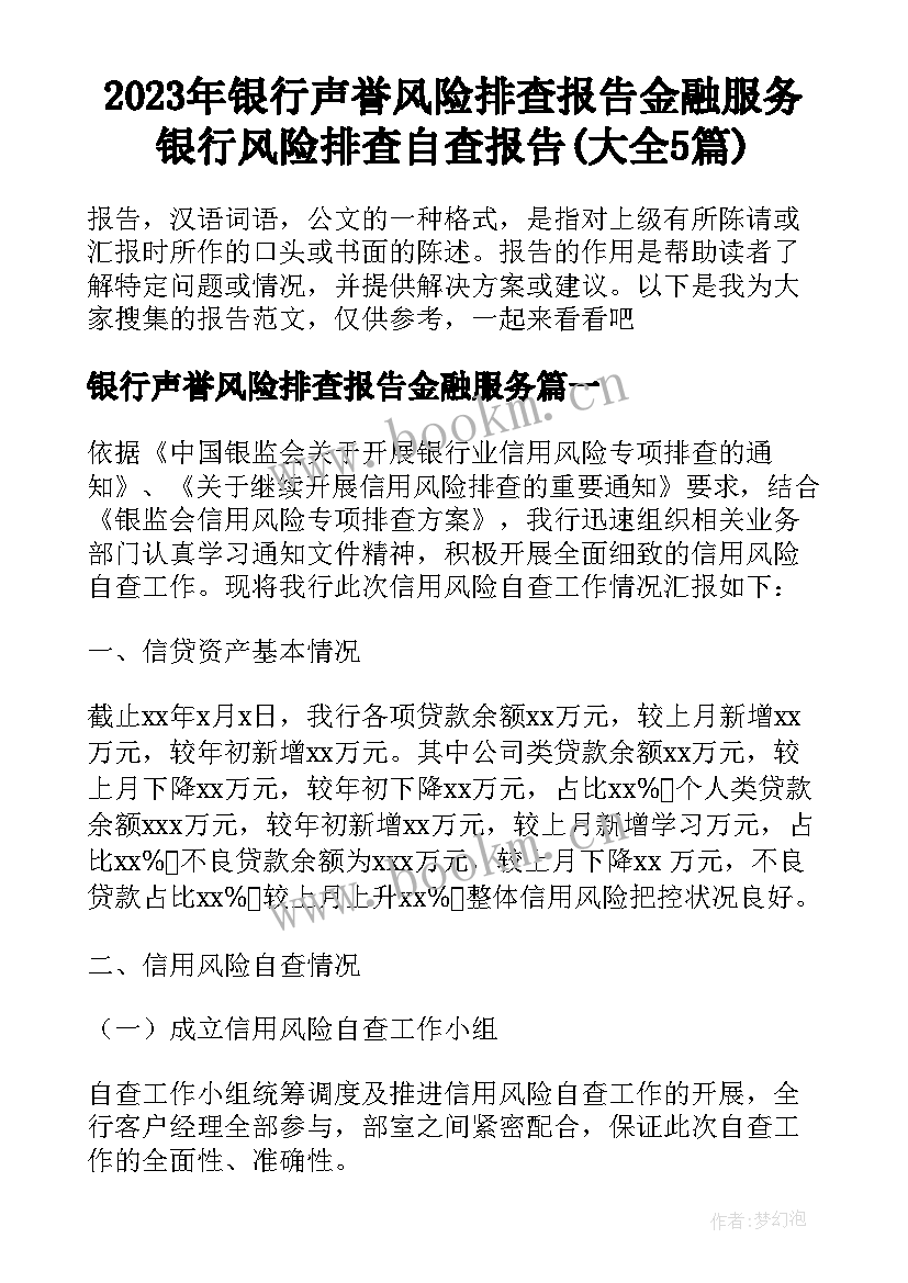 2023年银行声誉风险排查报告金融服务 银行风险排查自查报告(大全5篇)