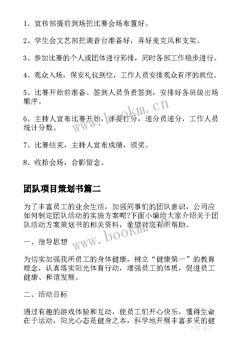 2023年团队项目策划书(优秀5篇)