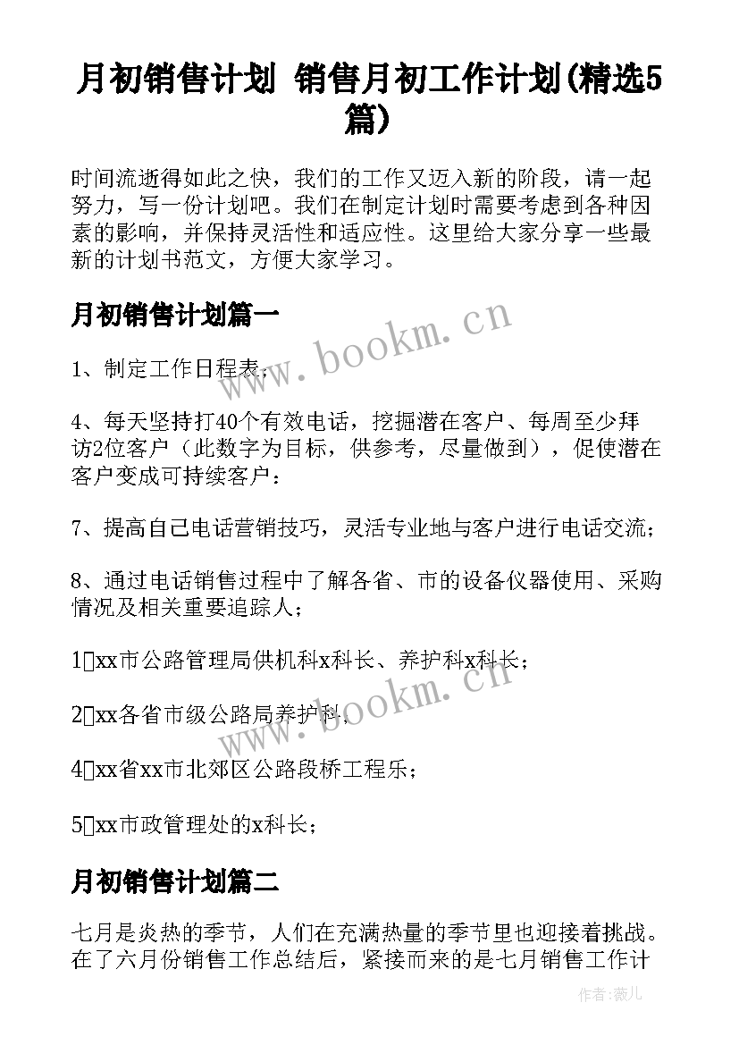 月初销售计划 销售月初工作计划(精选5篇)