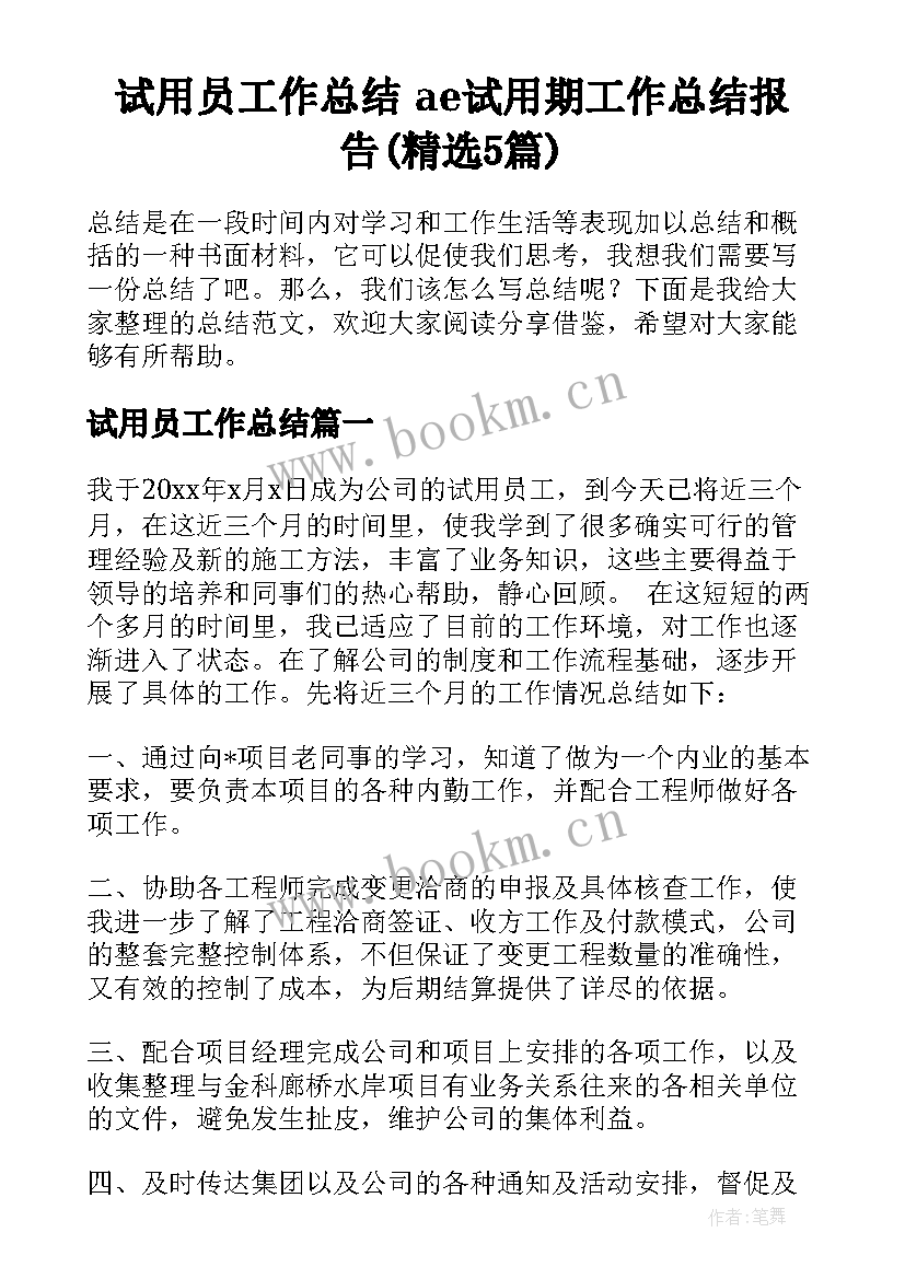 试用员工作总结 ae试用期工作总结报告(精选5篇)