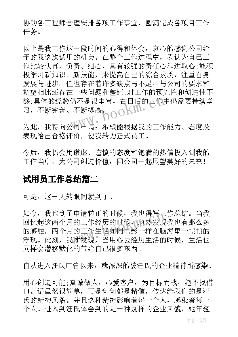 试用员工作总结 ae试用期工作总结报告(精选5篇)