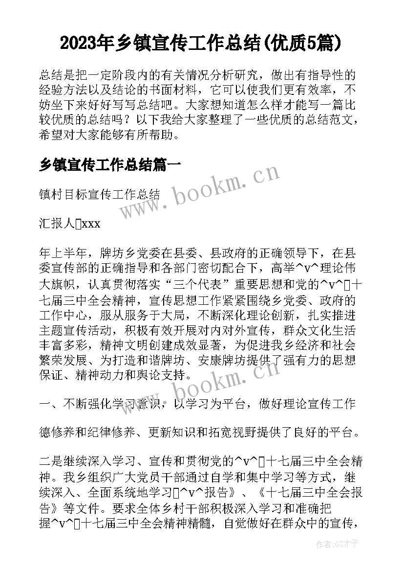 2023年乡镇宣传工作总结(优质5篇)