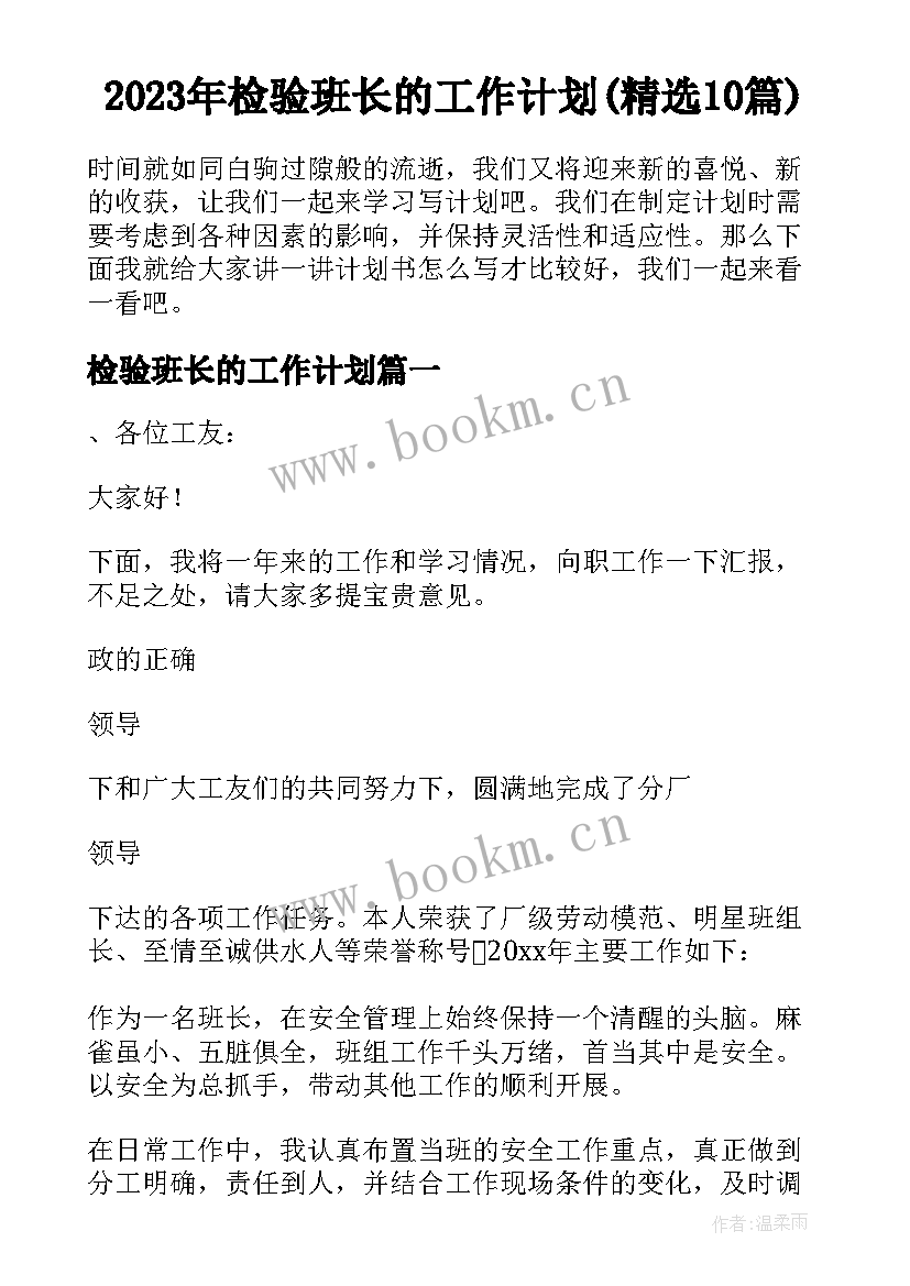 2023年检验班长的工作计划(精选10篇)