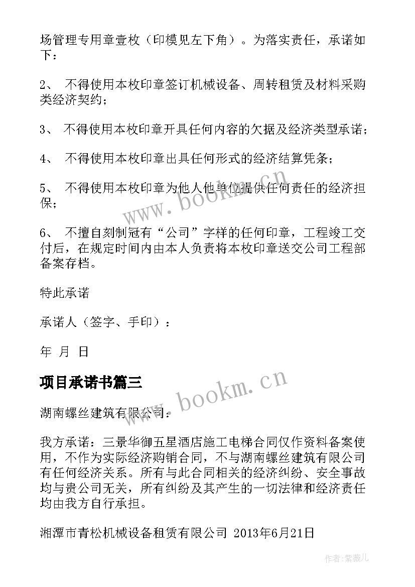 项目承诺书 项目承诺书十(优质8篇)