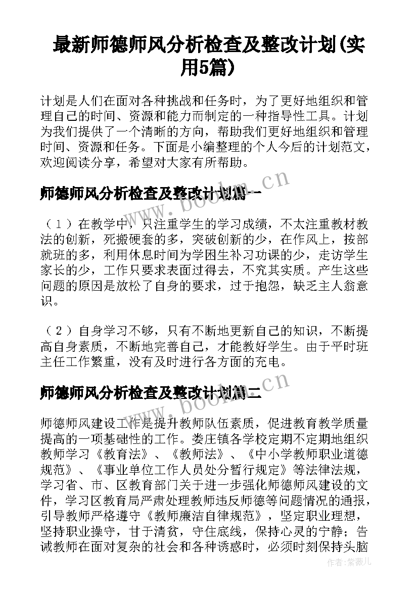 最新师德师风分析检查及整改计划(实用5篇)