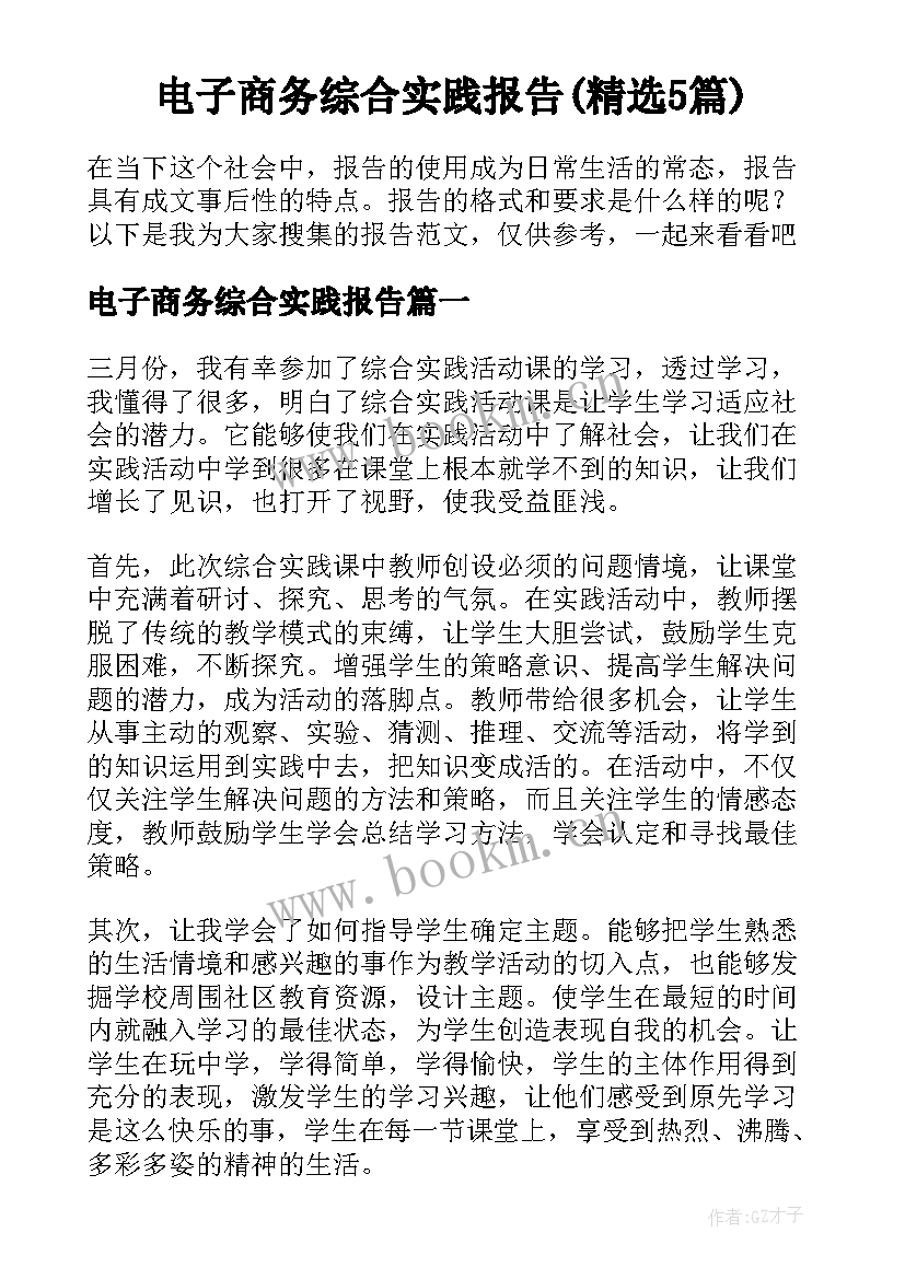 电子商务综合实践报告(精选5篇)