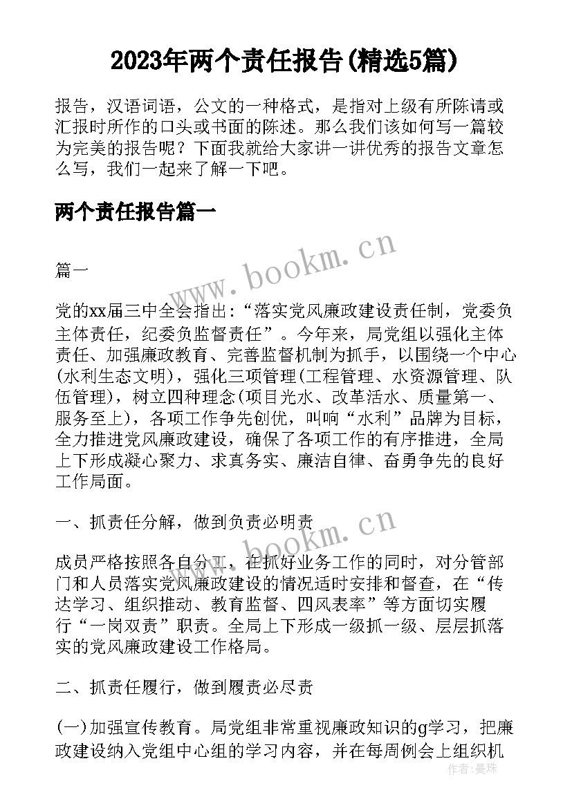 2023年两个责任报告(精选5篇)