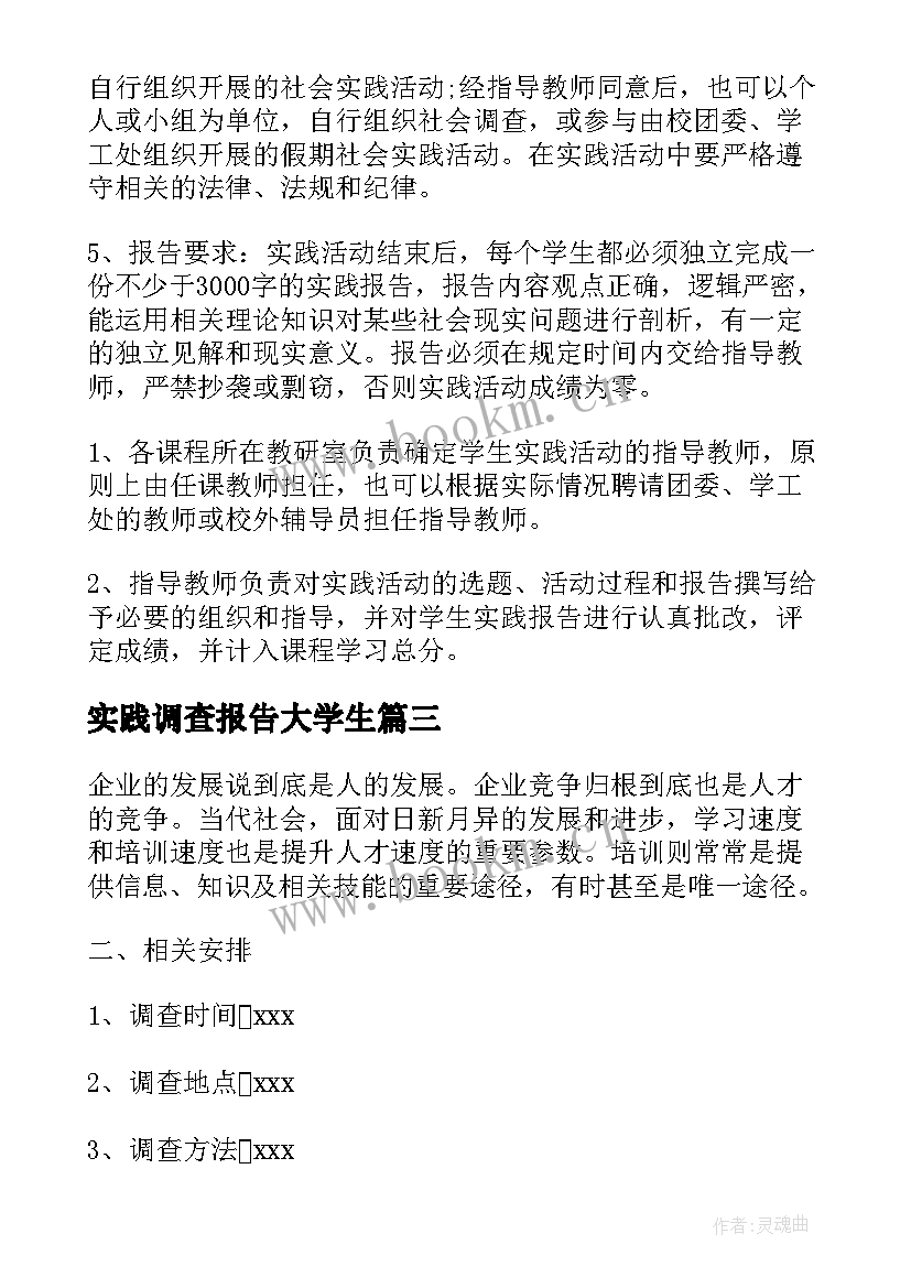 实践调查报告大学生(精选10篇)