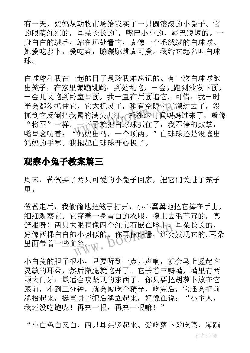 观察小兔子教案 可爱的小兔子(实用5篇)