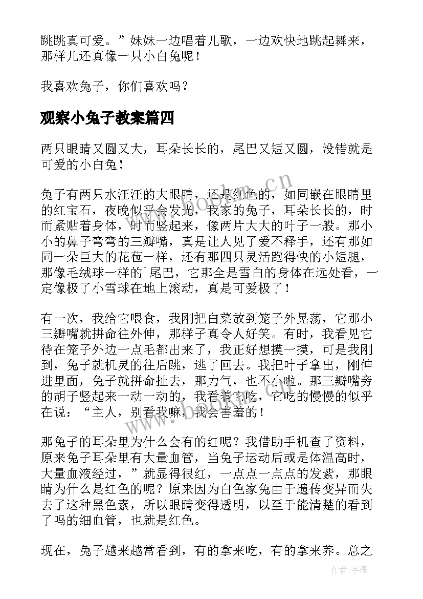 观察小兔子教案 可爱的小兔子(实用5篇)