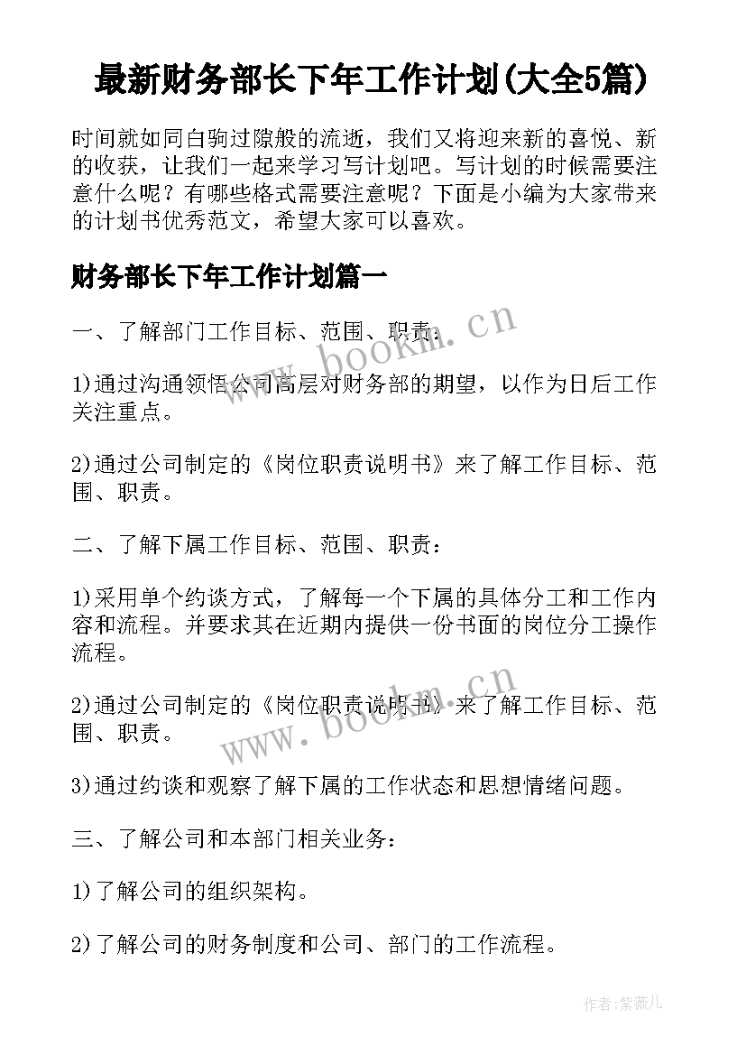 最新财务部长下年工作计划(大全5篇)