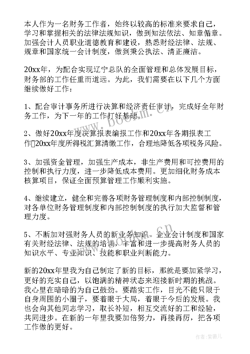 最新财务部长下年工作计划(大全5篇)