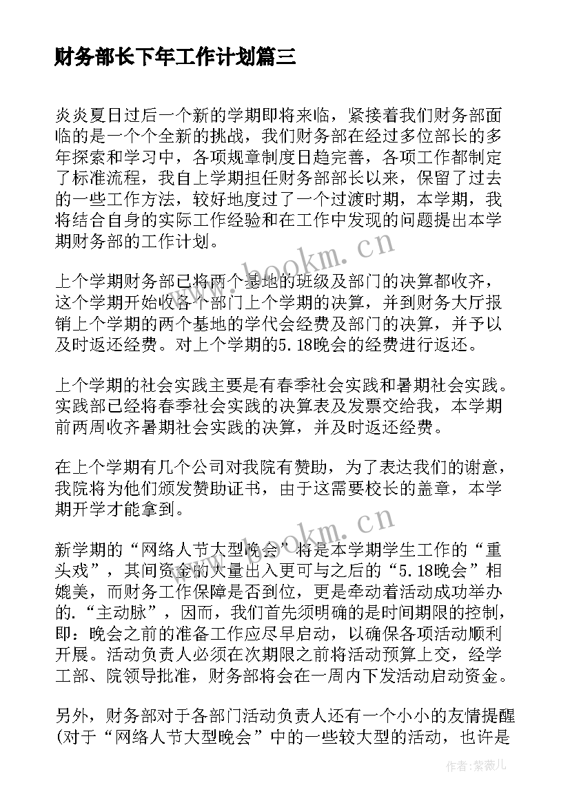 最新财务部长下年工作计划(大全5篇)