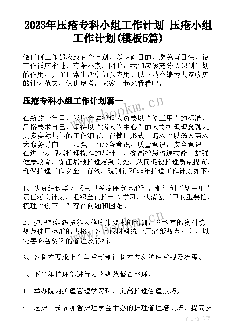 2023年压疮专科小组工作计划 压疮小组工作计划(模板5篇)