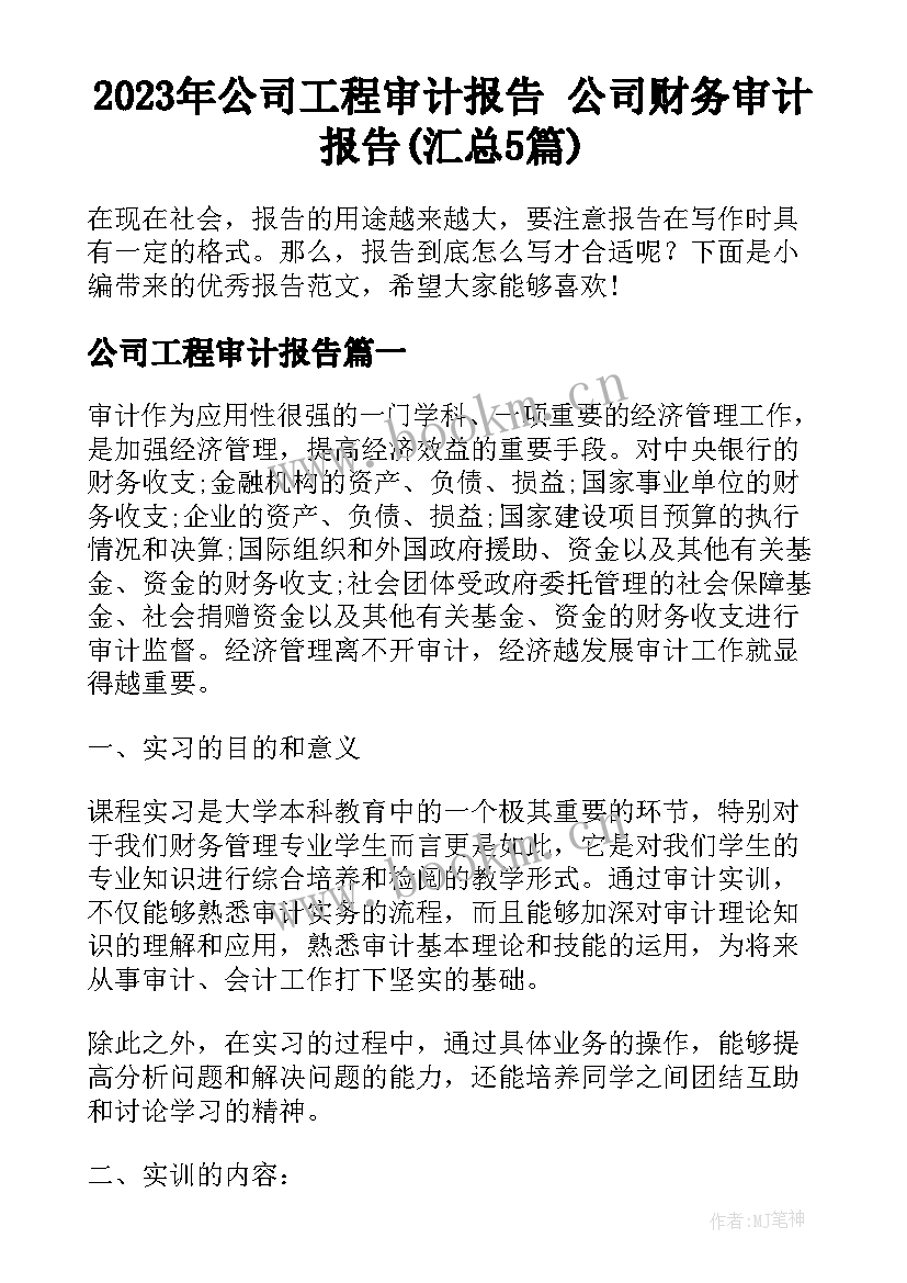 2023年公司工程审计报告 公司财务审计报告(汇总5篇)