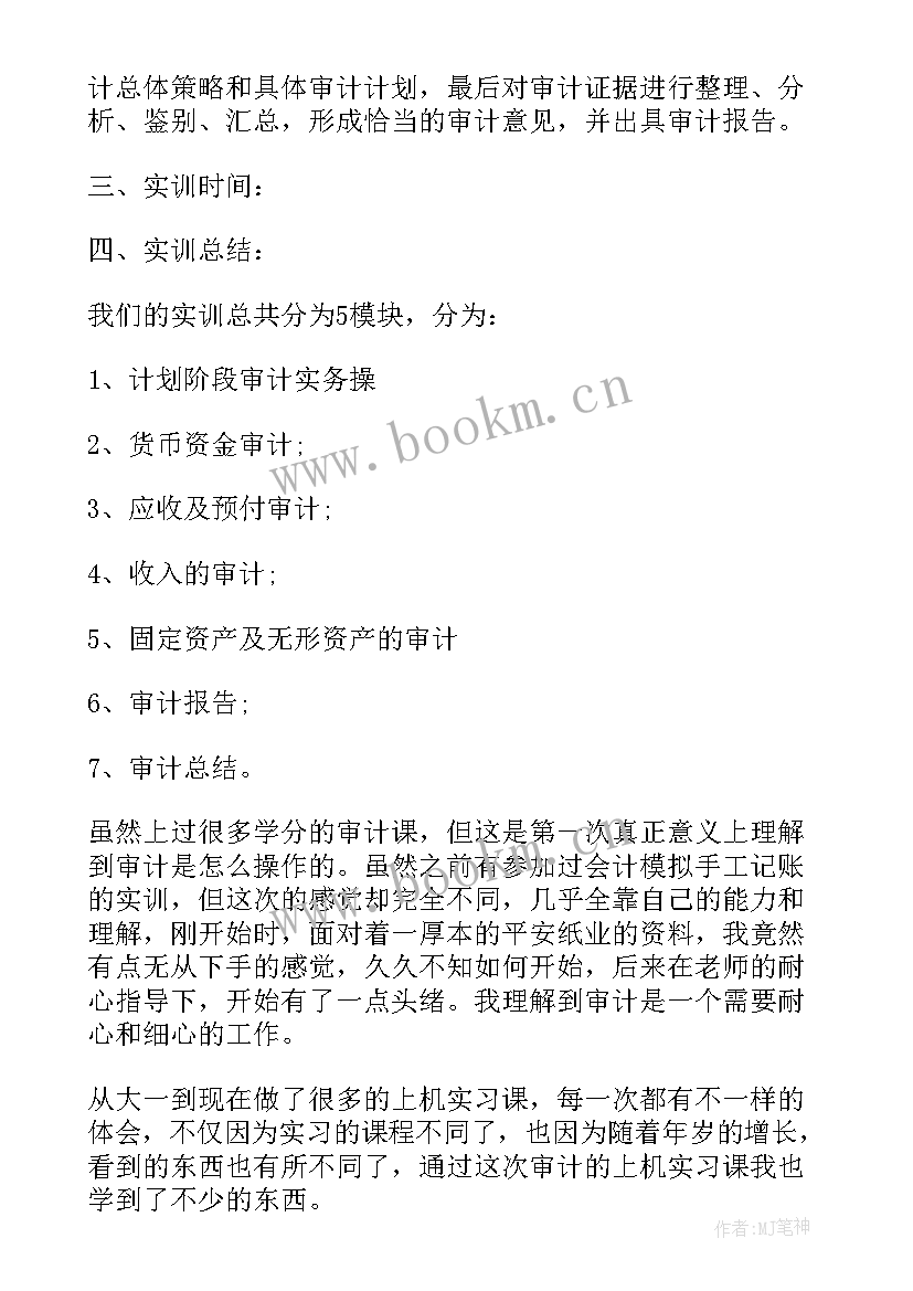 2023年公司工程审计报告 公司财务审计报告(汇总5篇)