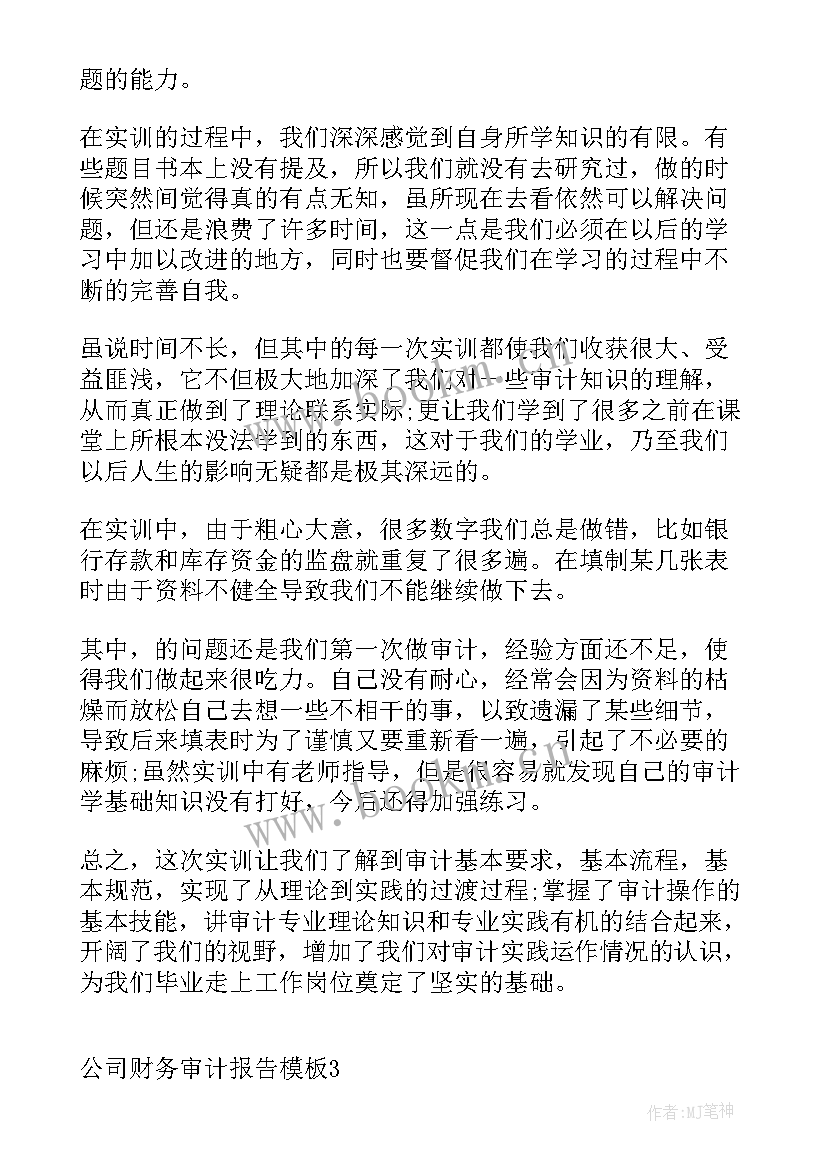 2023年公司工程审计报告 公司财务审计报告(汇总5篇)