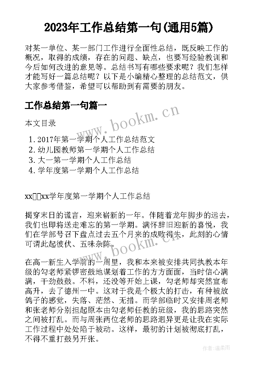 2023年工作总结第一句(通用5篇)