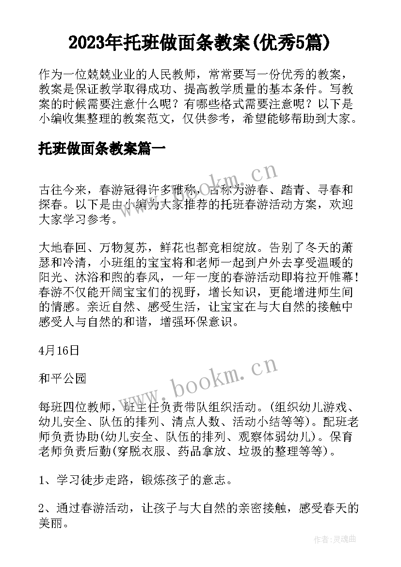 2023年托班做面条教案(优秀5篇)