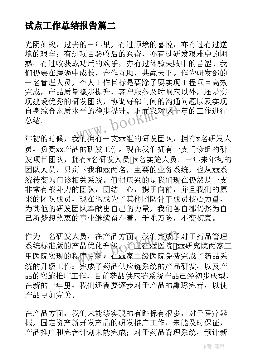 2023年试点工作总结报告(优秀10篇)