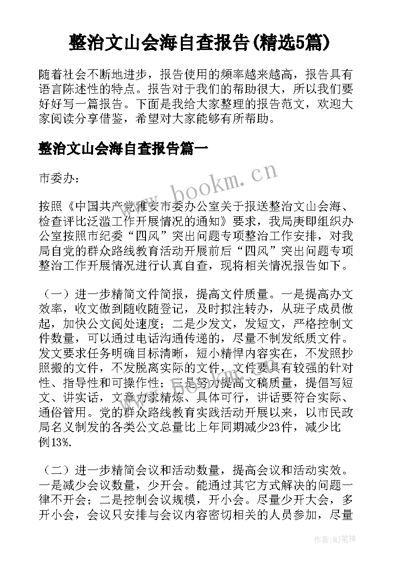 整治文山会海自查报告(精选5篇)