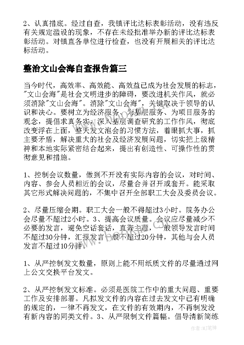 整治文山会海自查报告(精选5篇)