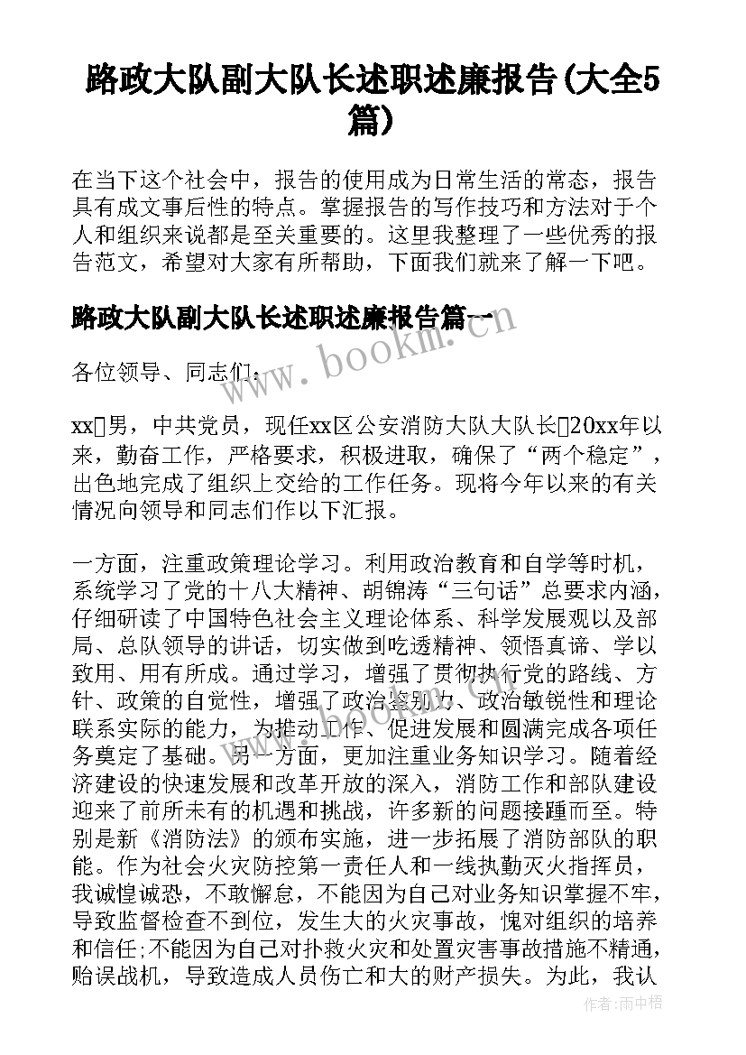 路政大队副大队长述职述廉报告(大全5篇)