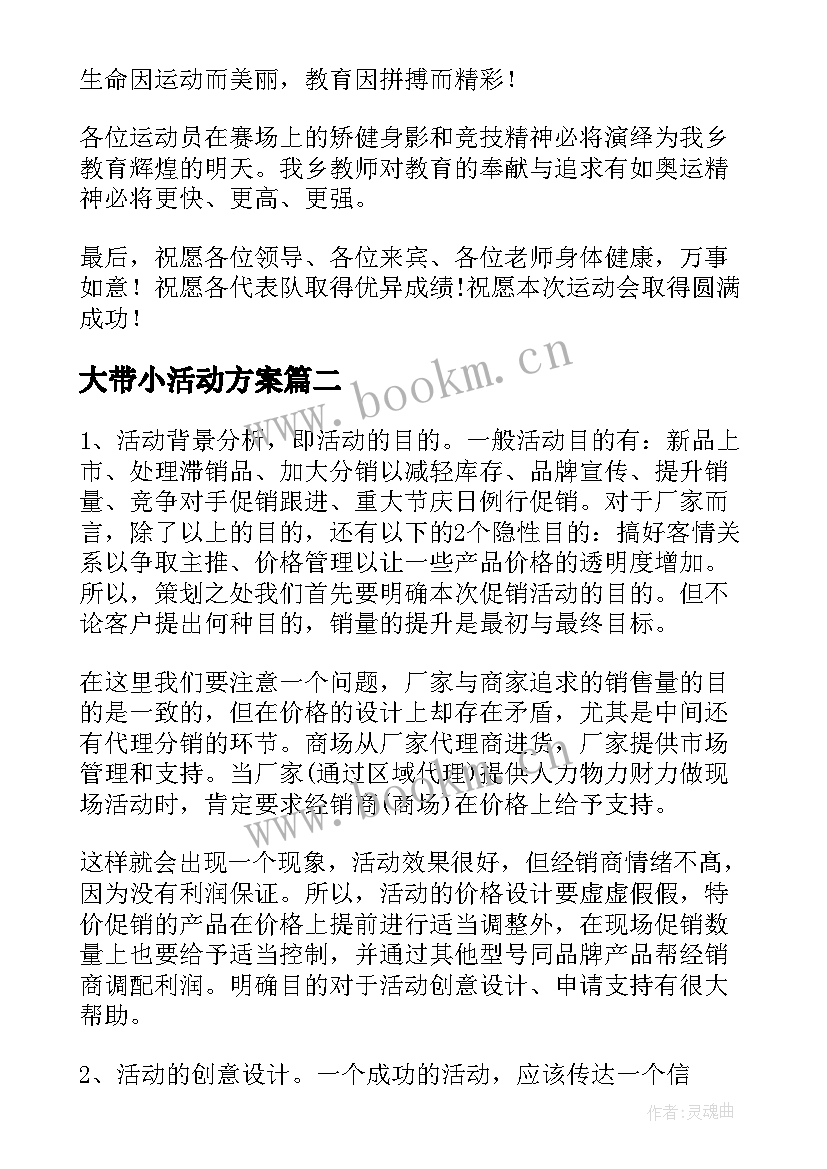 大带小活动方案(实用5篇)